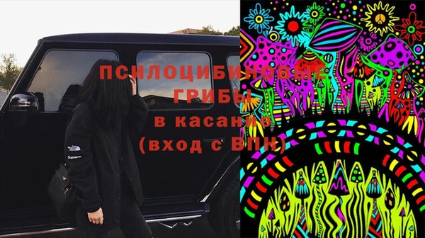 стаф Михайловка