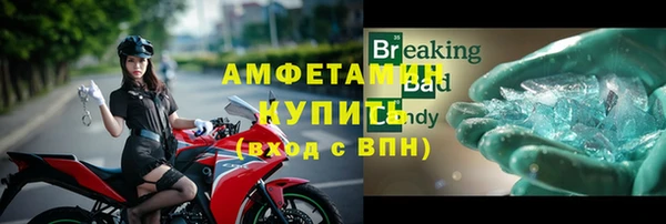 прущие грибы Богданович