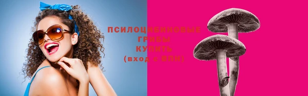 ешки Михайловск