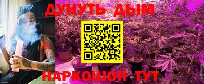 шишки Балашиха