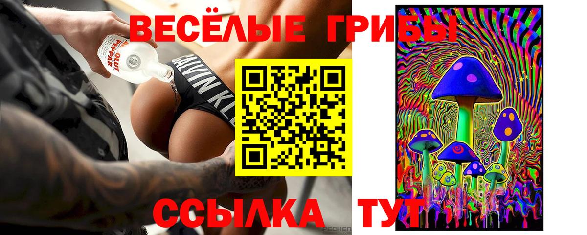 Галлюциногенные грибы Psilocybine cubensis  Галлюциногенные грибы Psilocybine cubensis  Энгельс  Вход с VPN 